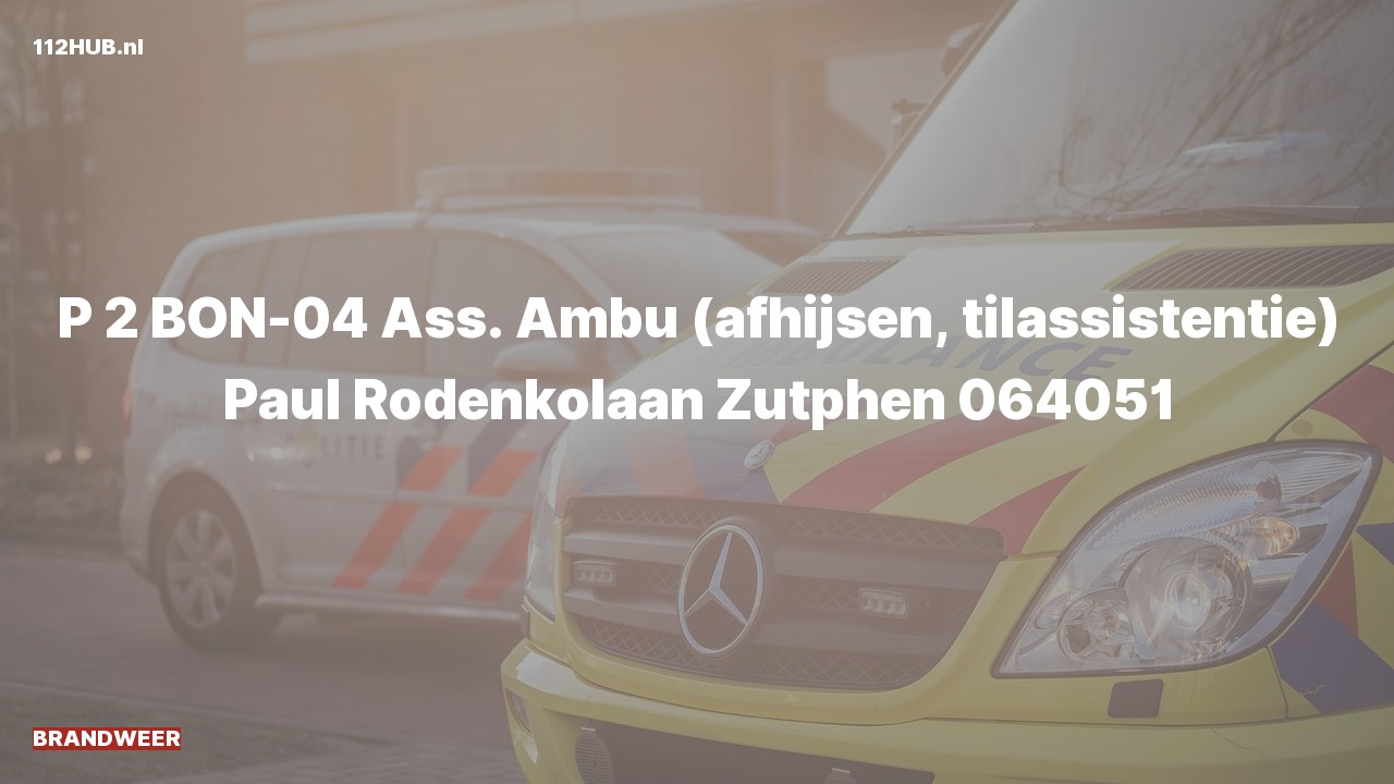 Deelafbeelding voor Brandweer met gepaste spoed voor afhijsen naar de Paul Rodenkolaan in Zutphen.