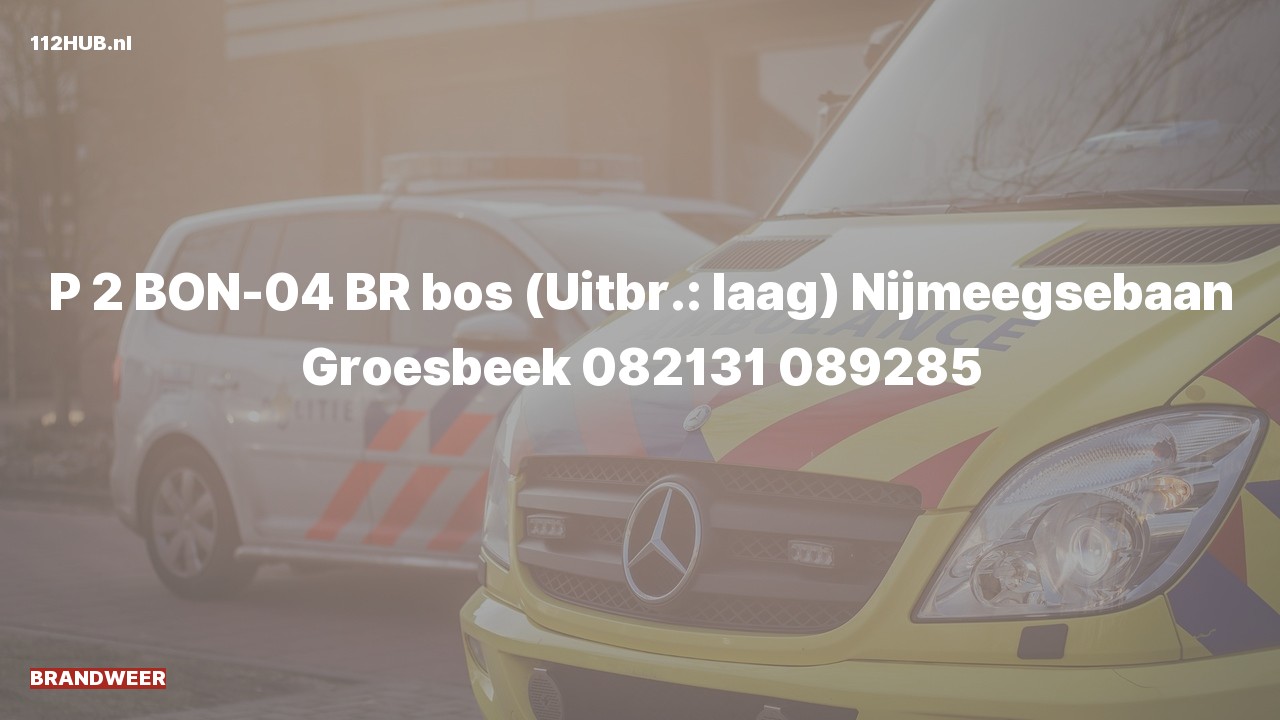 Deelafbeelding voor Brandweer met gepaste spoed naar de Nijmeegsebaan in Groesbeek.