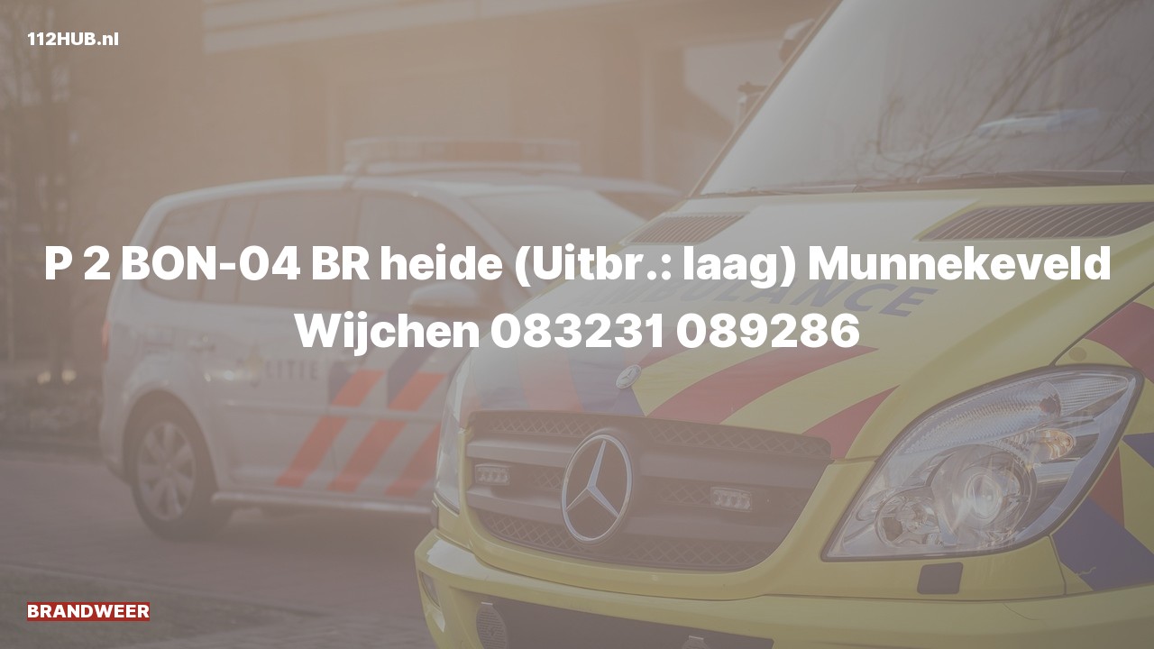 Deelafbeelding voor Brandweer met gepaste spoed naar de Munnekeveld in Wijchen.