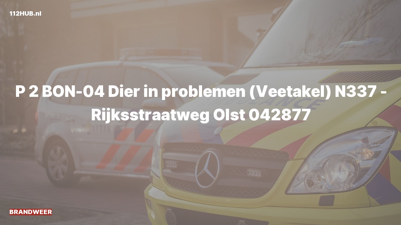 Deelafbeelding voor Brandweer met gepaste spoed.