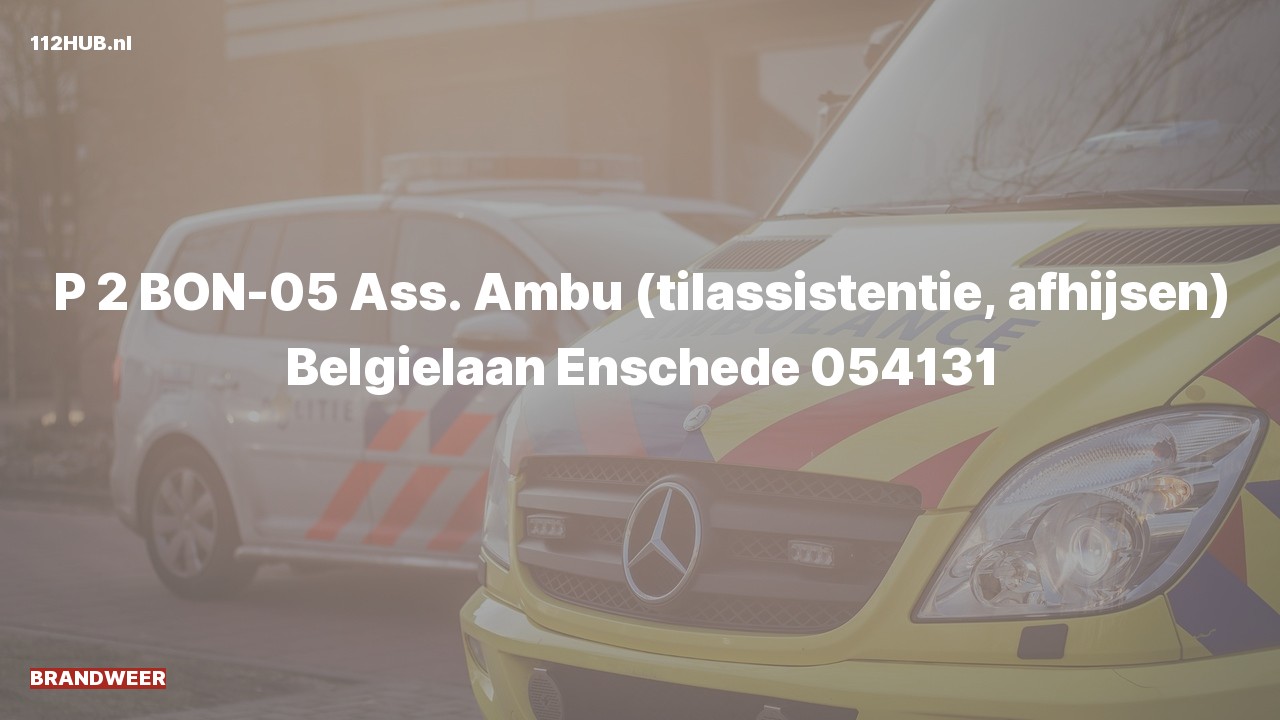 Deelafbeelding voor De brandweer is met gepaste spoed uitgerukt voor afhijsen