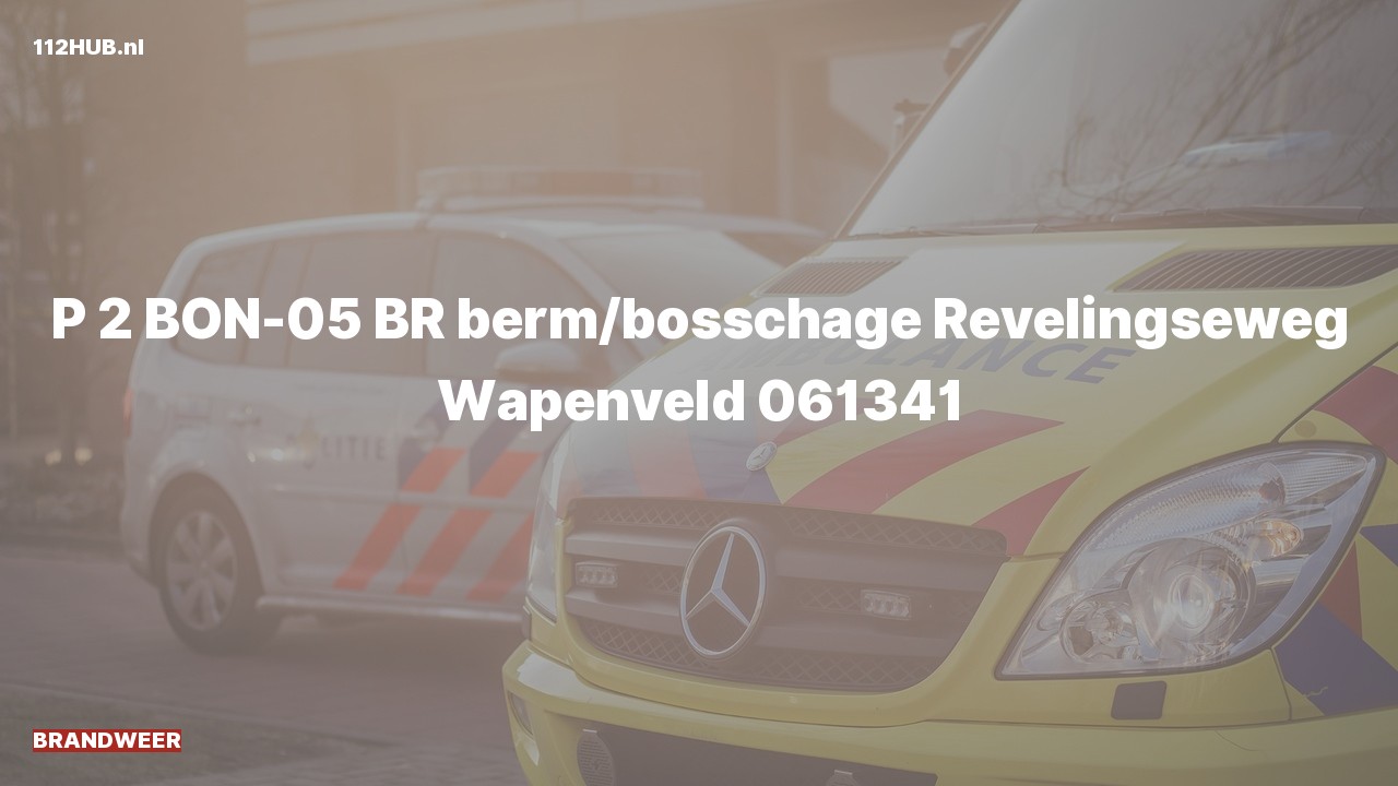 Deelafbeelding voor Brandweer met gepaste spoed naar de Revelingseweg in Wapenveld.