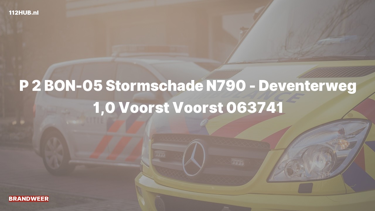 Deelafbeelding voor Brandweer met gepaste spoed op de N790 bij hectometerpaaltje 1.