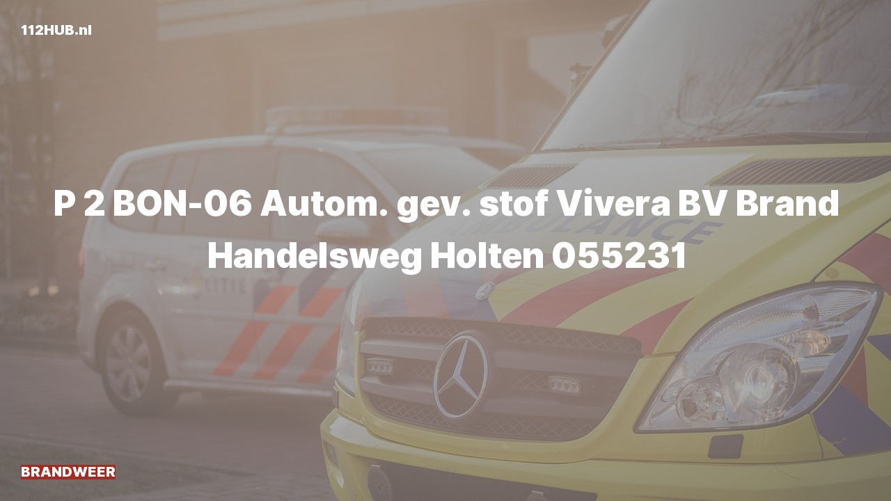 Deelafbeelding voor Brandweer met gepaste spoed naar de Handelsweg in Holten.