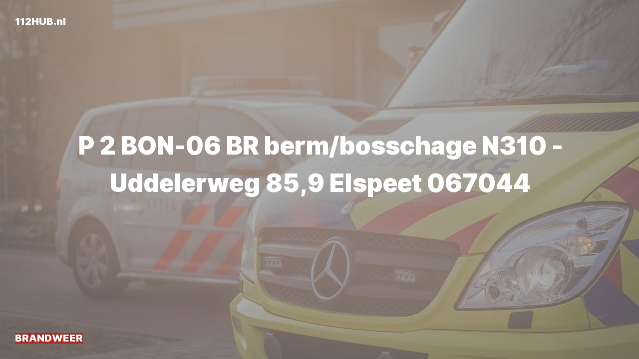 Deelafbeelding voor Brandweer met gepaste spoed op de N310 bij hectometerpaaltje 85.9.