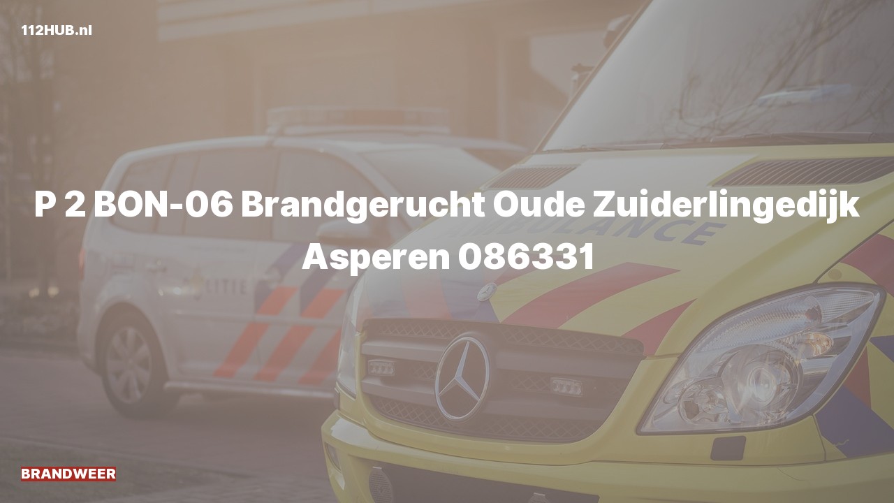 Deelafbeelding voor Brandweer met gepaste spoed voor brandgerucht naar de Oude Zuiderlingedijk in Asperen.