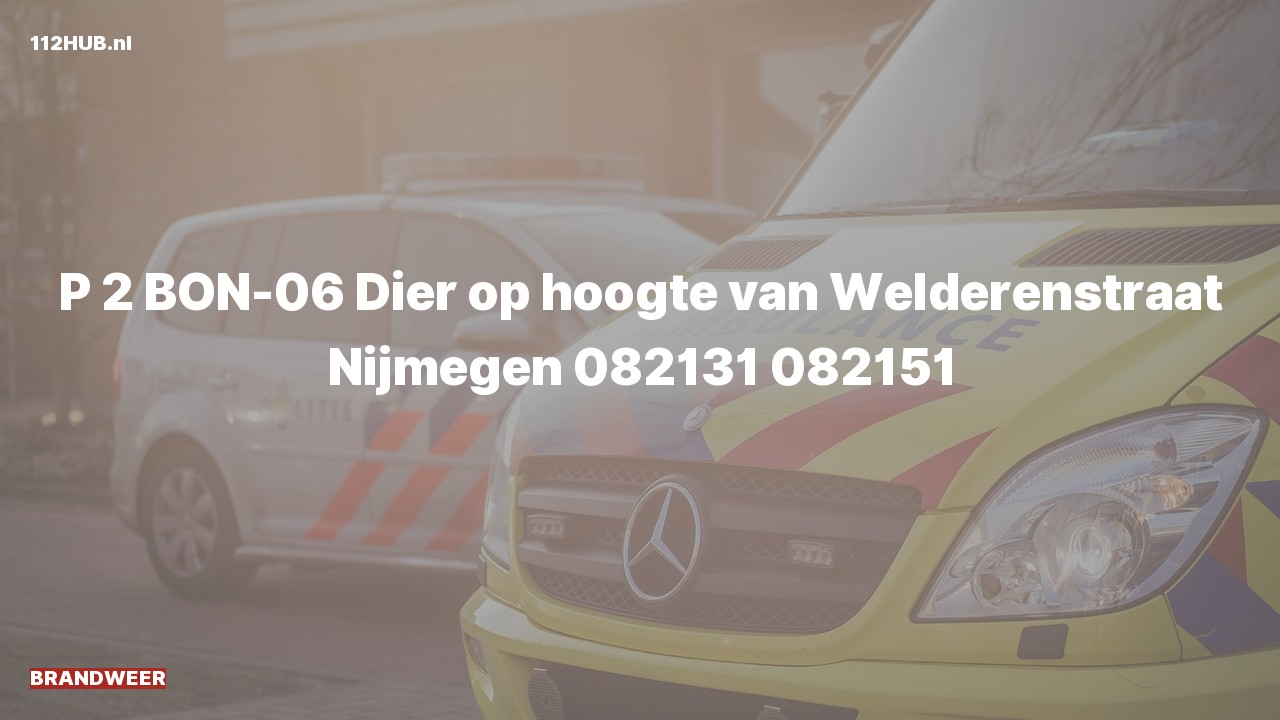 Deelafbeelding voor Brandweer met gepaste spoed naar de van Welderenstraat in Nijmegen.