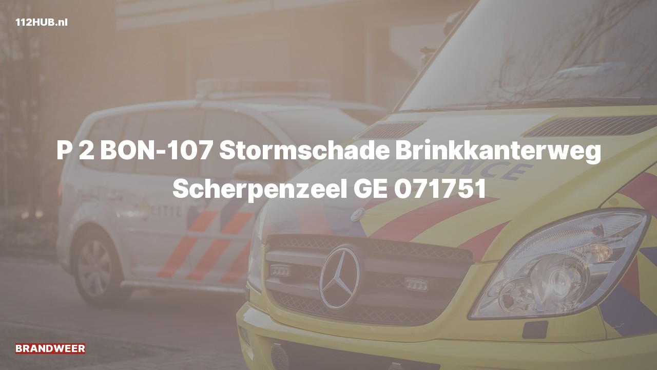 Deelafbeelding voor Brandweer met gepaste spoed naar de Brinkkanterweg in Scherpenzeel.