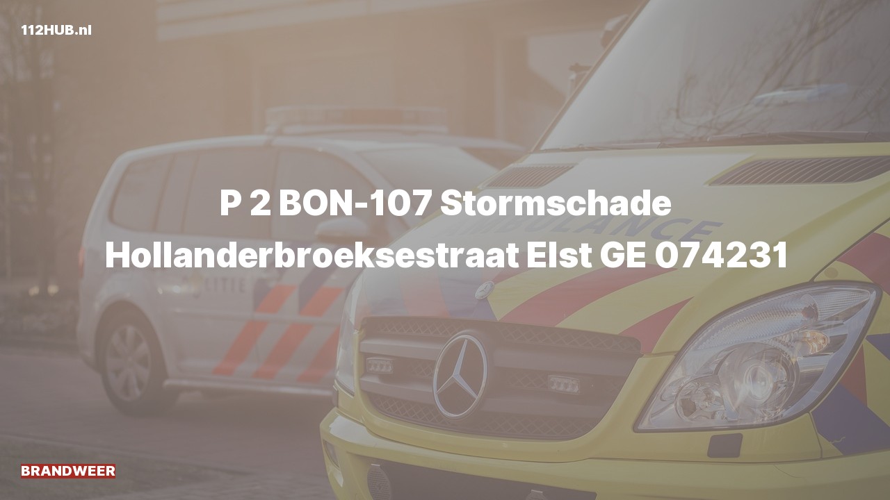 Deelafbeelding voor Brandweer met gepaste spoed naar de Hollanderbroeksestraat in Elst.