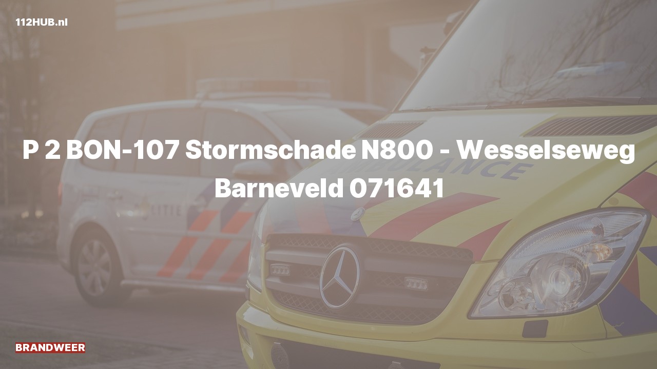 Deelafbeelding voor Brandweer met gepaste spoed naar de Wesselseweg in Barneveld.
