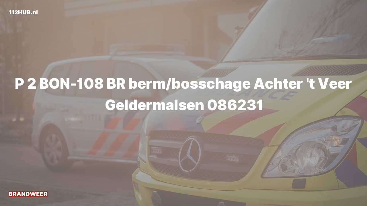 Deelafbeelding voor Brandweer met gepaste spoed naar de Achter 't Veer in Geldermalsen.