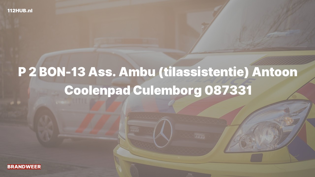 Deelafbeelding voor Brandweer met gepaste spoed voor ambulance-assistentie naar de Antoon Coolenpad in Culemborg.