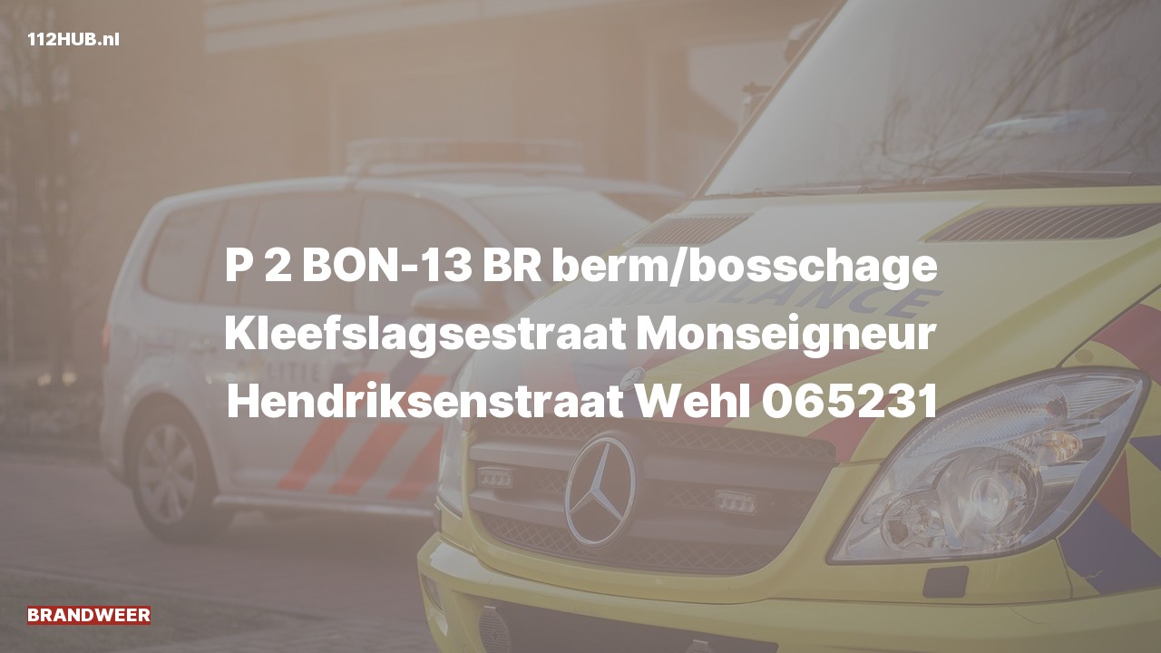 Deelafbeelding voor Brandweer met gepaste spoed naar de Kleefslagsestraat in Wehl.