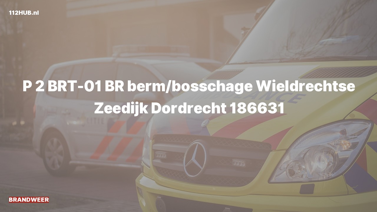 Deelafbeelding voor Brandweer met gepaste spoed naar de Wieldrechtse Zeedijk in Dordrecht.