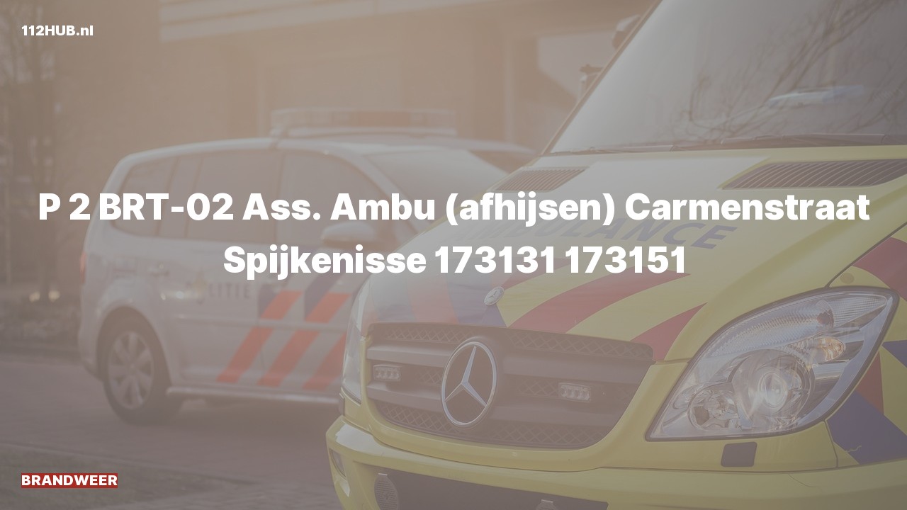 Deelafbeelding voor Brandweer met gepaste spoed voor afhijsen naar de Carmenstraat in Spijkenisse.