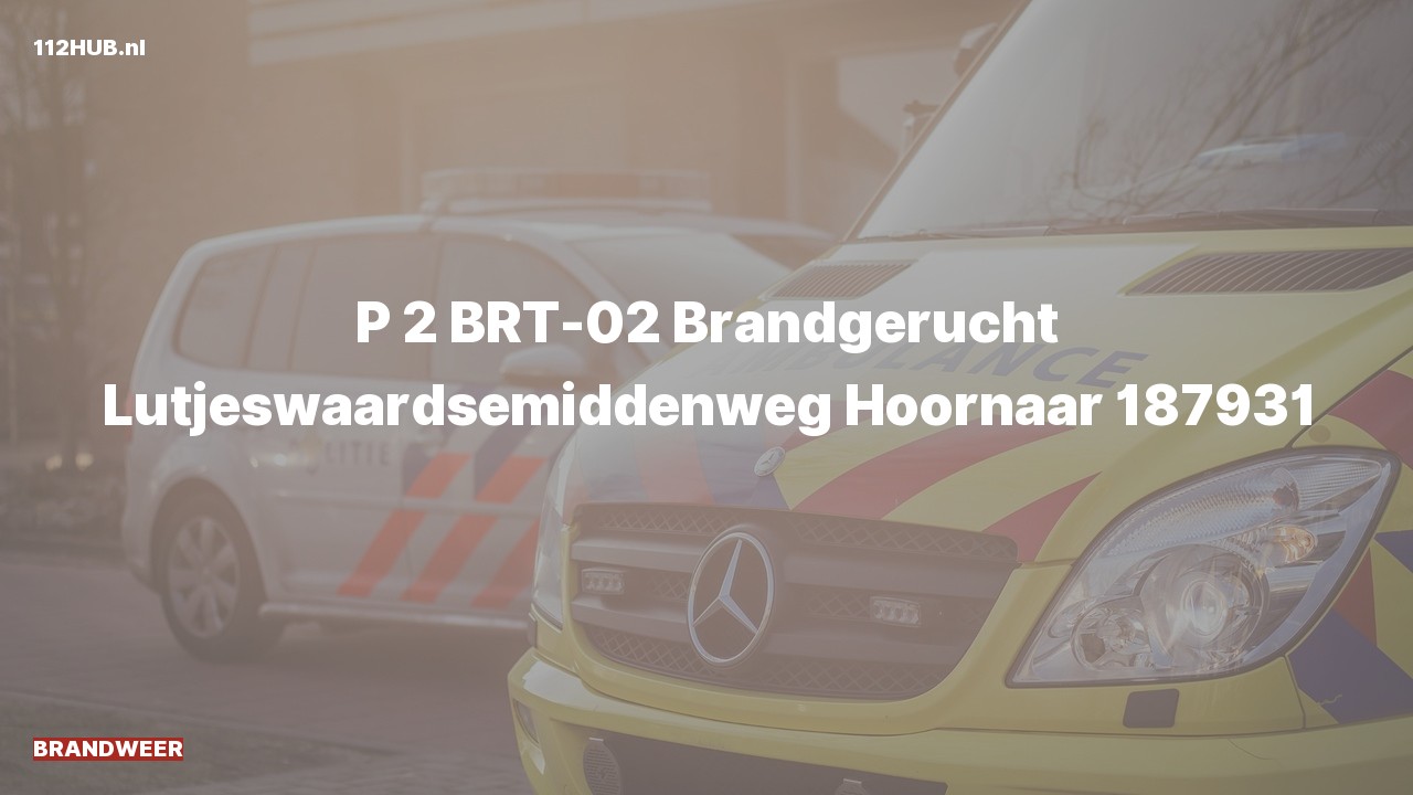 Deelafbeelding voor Brandweer met gepaste spoed voor brandgerucht naar de Lutjeswaardsemiddenweg in Hoornaar.