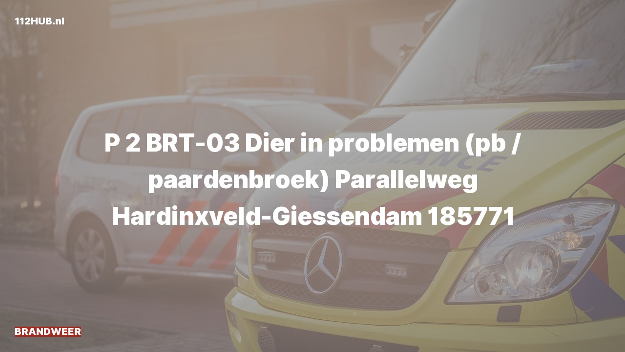 Deelafbeelding voor Brandweer met gepaste spoed naar de Parallelweg in Hardinxveld-Giessendam.
