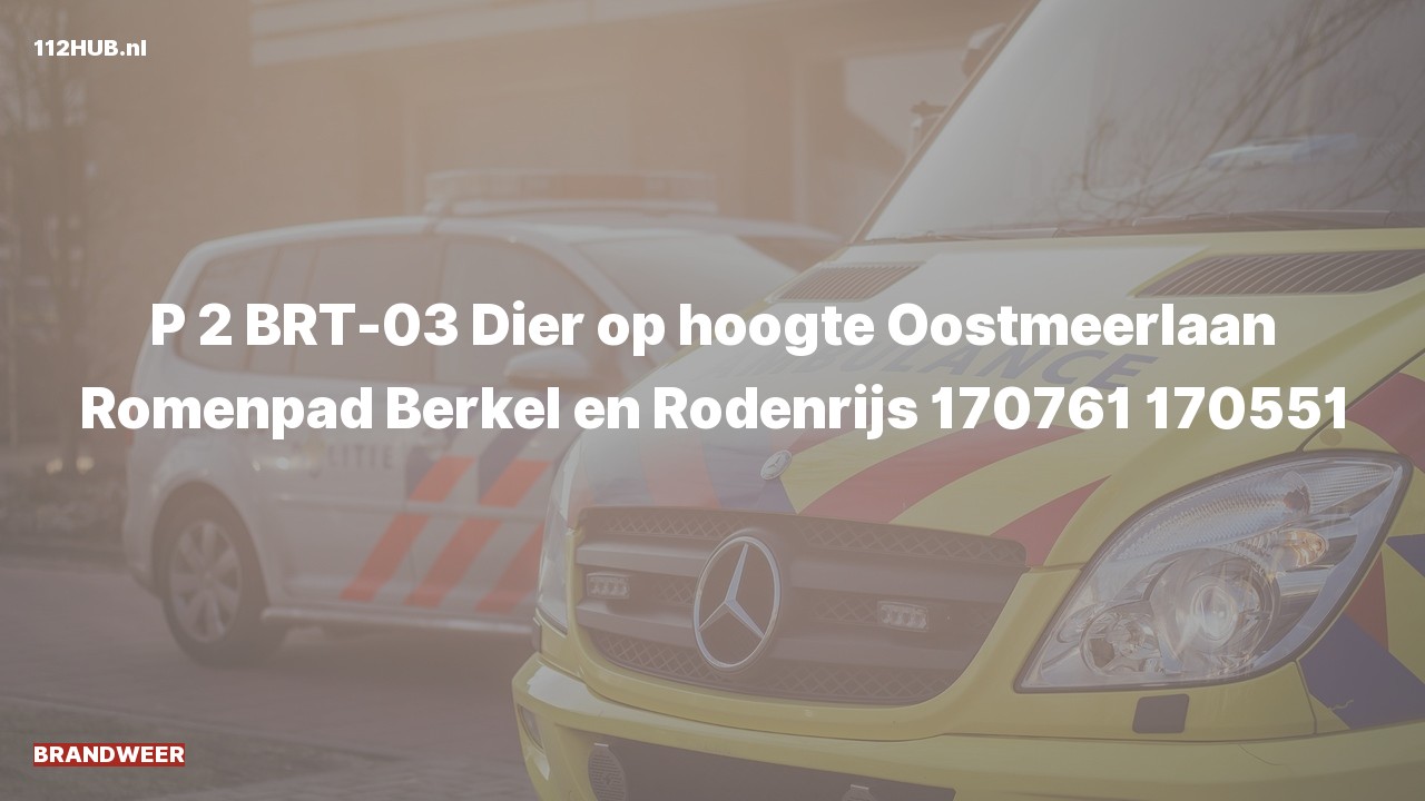 Deelafbeelding voor Brandweer met gepaste spoed naar de Oostmeerlaan in Berkel en Rodenrijs.