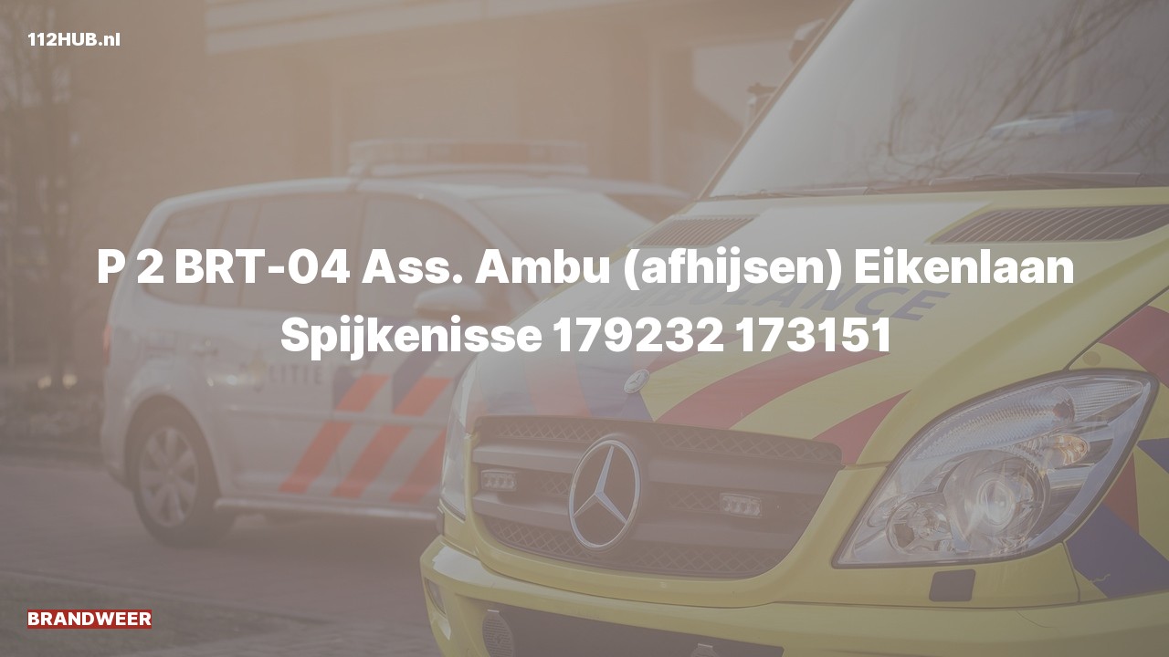 Deelafbeelding voor Brandweer met gepaste spoed voor afhijsen naar de Eikenlaan in Spijkenisse.