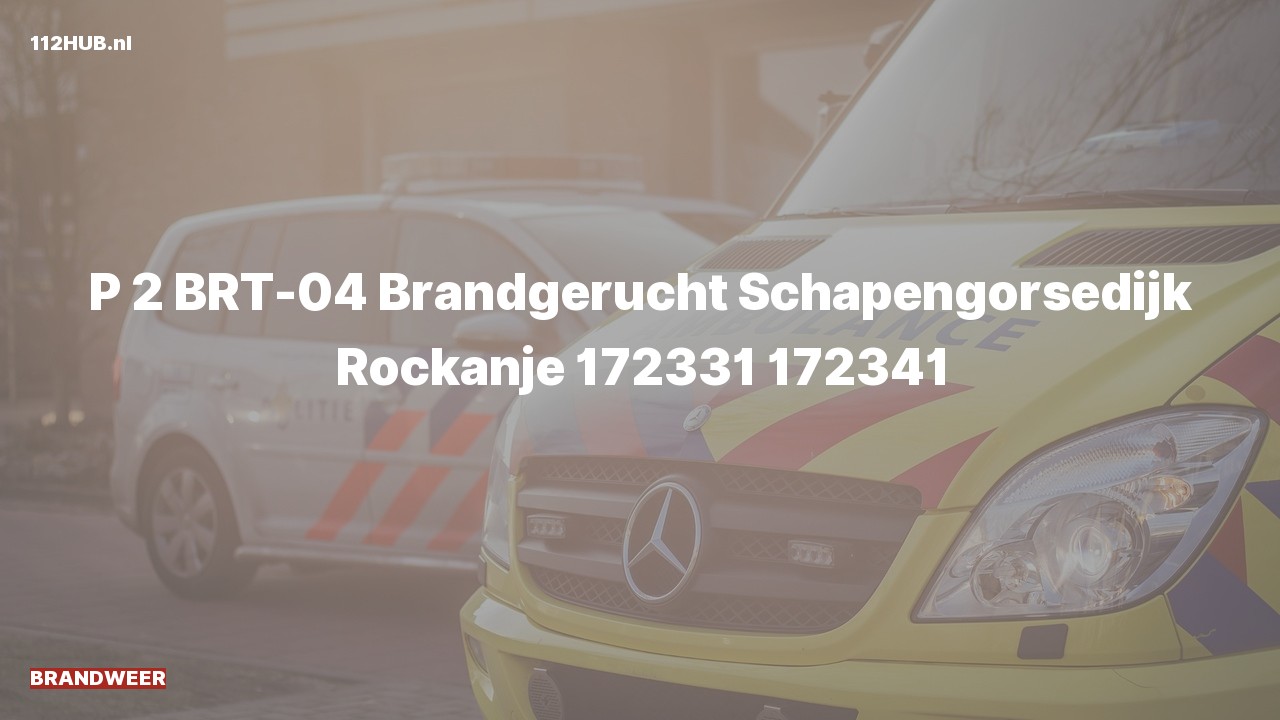 Deelafbeelding voor Brandweer met gepaste spoed voor brandgerucht naar de Schapengorsedijk in Rockanje.