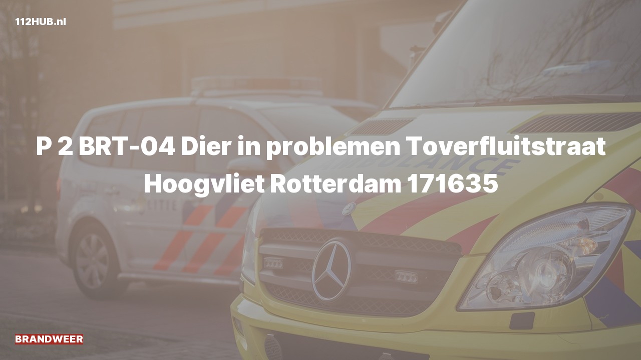Deelafbeelding voor De brandweer is met gepaste spoed uitgerukt naar de Toverfluitstraat in Hoogvliet Rotterdam