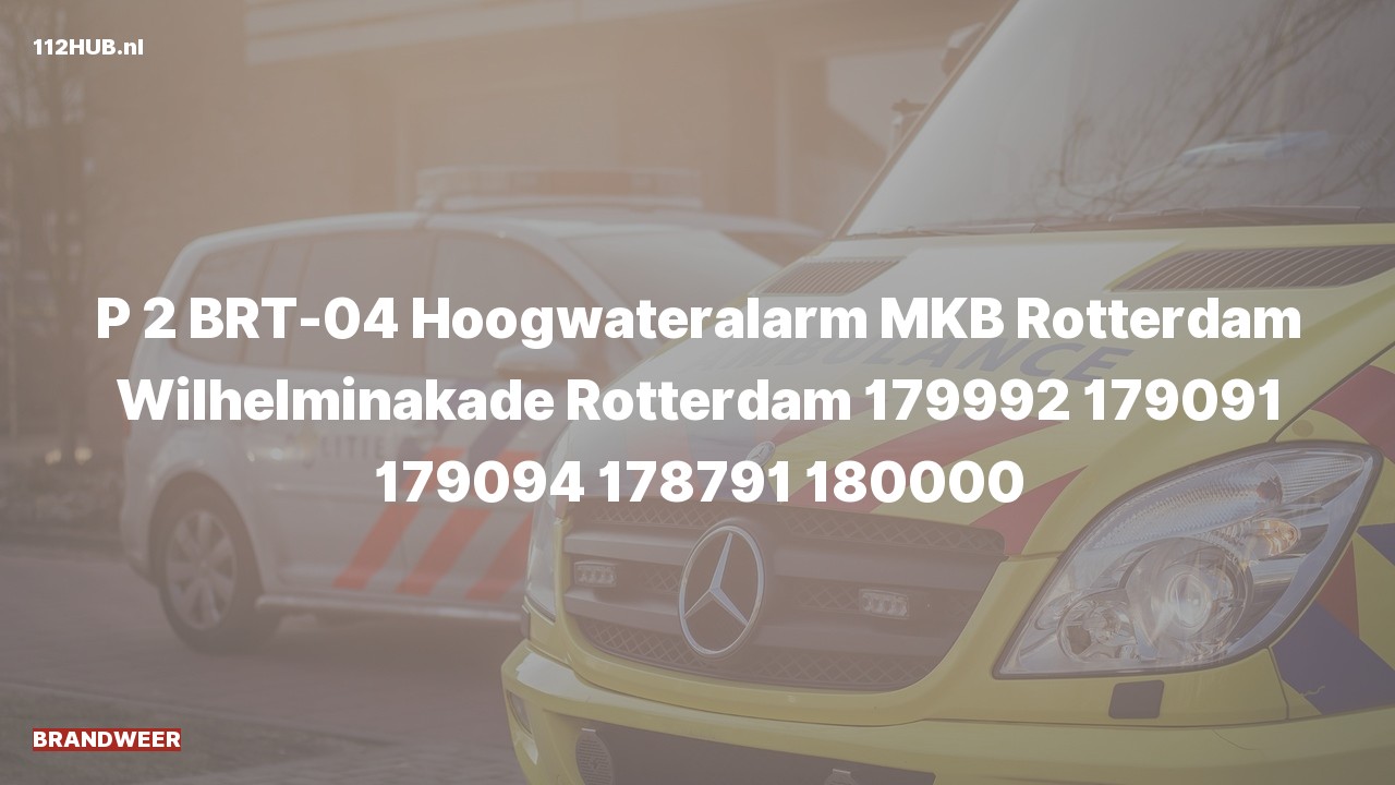 Deelafbeelding voor Brandweer met gepaste spoed naar de Wilhelminakade in Rotterdam.