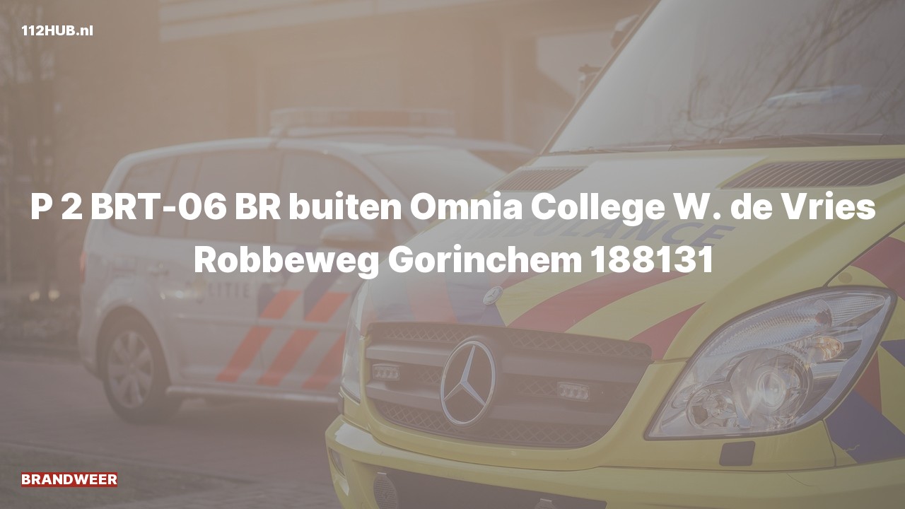 Deelafbeelding voor Brandweer met gepaste spoed naar de W. de Vries Robbéweg in Gorinchem.