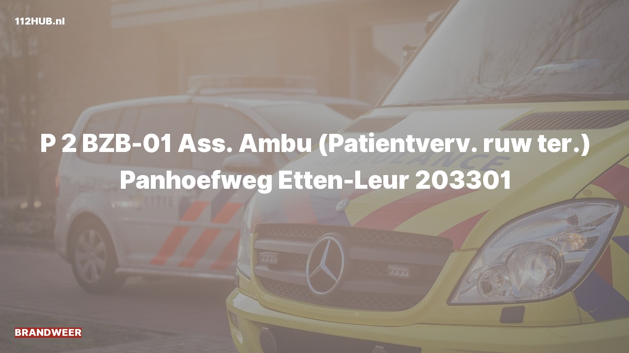 Deelafbeelding voor De brandweer is met gepaste spoed uitgerukt voor ambulance-assistentie