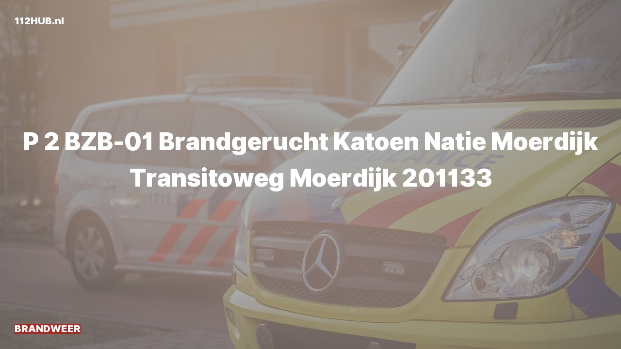 Deelafbeelding voor Brandweer met gepaste spoed voor brandgerucht naar de Transitoweg in Moerdijk.