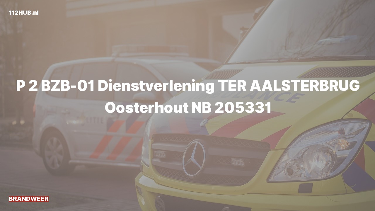 Deelafbeelding voor Brandweer met gepaste spoed.