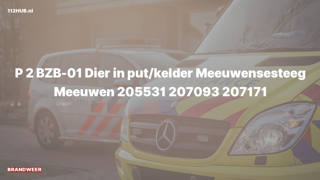 Deelafbeelding voor P2000-melding.