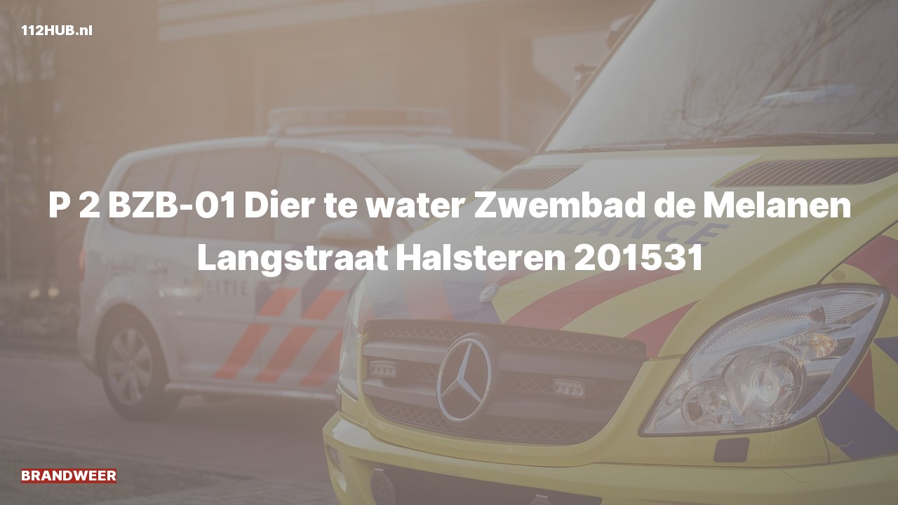 Deelafbeelding voor De brandweer is met gepaste spoed uitgerukt voor een persoon te water naar de Langstraat in Halsteren