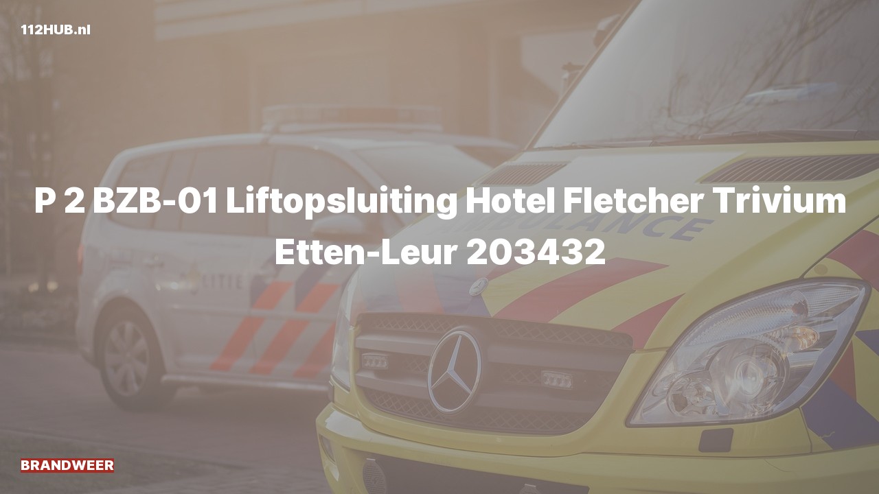 Deelafbeelding voor Brandweer met gepaste spoed naar de Trivium in Etten-Leur.