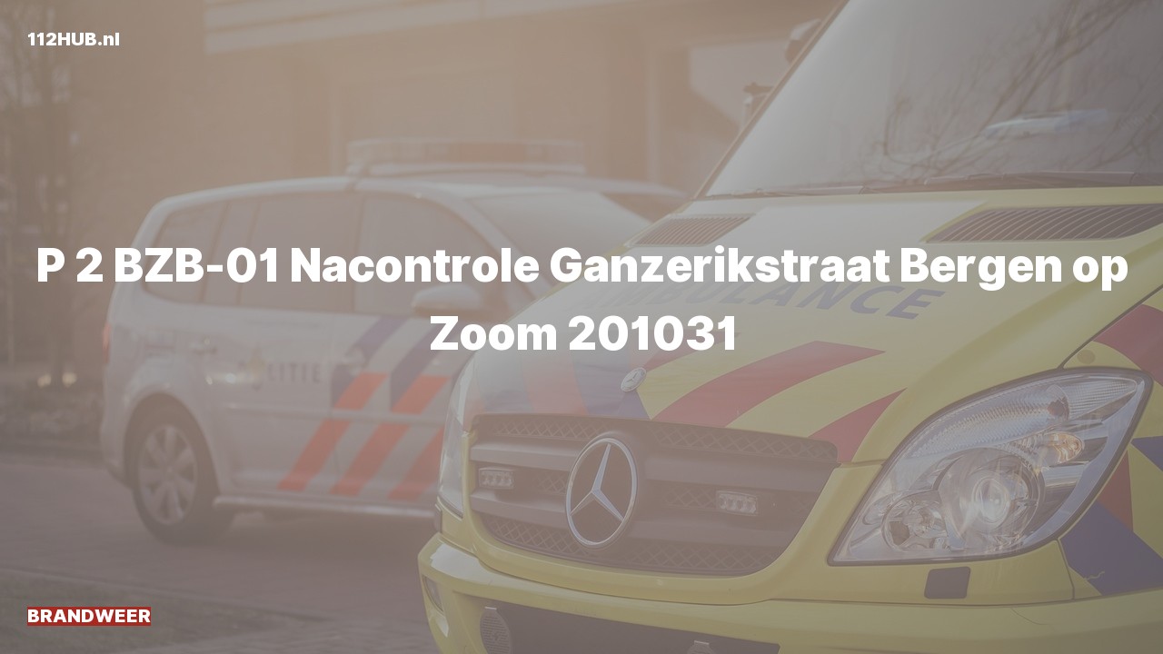 Deelafbeelding voor Brandweer met gepaste spoed naar de Ganzerikstraat in Bergen op Zoom.