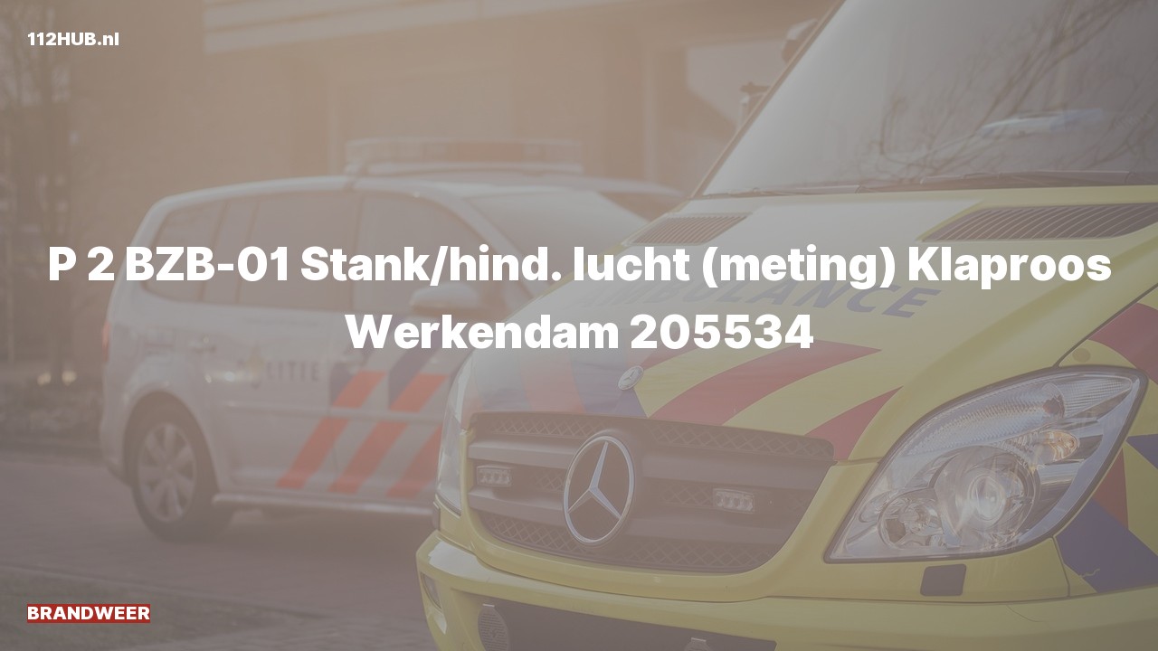 Deelafbeelding voor Brandweer met gepaste spoed voor stank of gaslucht naar de Klaproos in Werkendam.