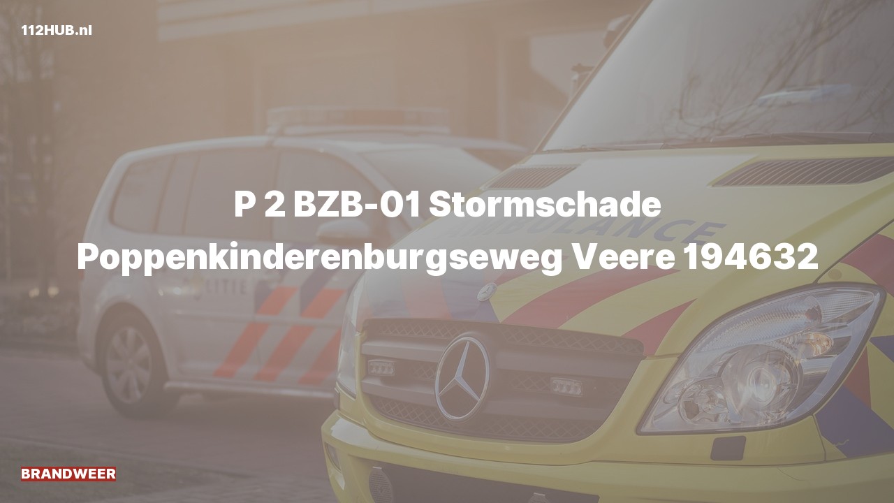 Deelafbeelding voor De brandweer is met gepaste spoed uitgerukt naar de Poppenkinderenburgseweg in Veere