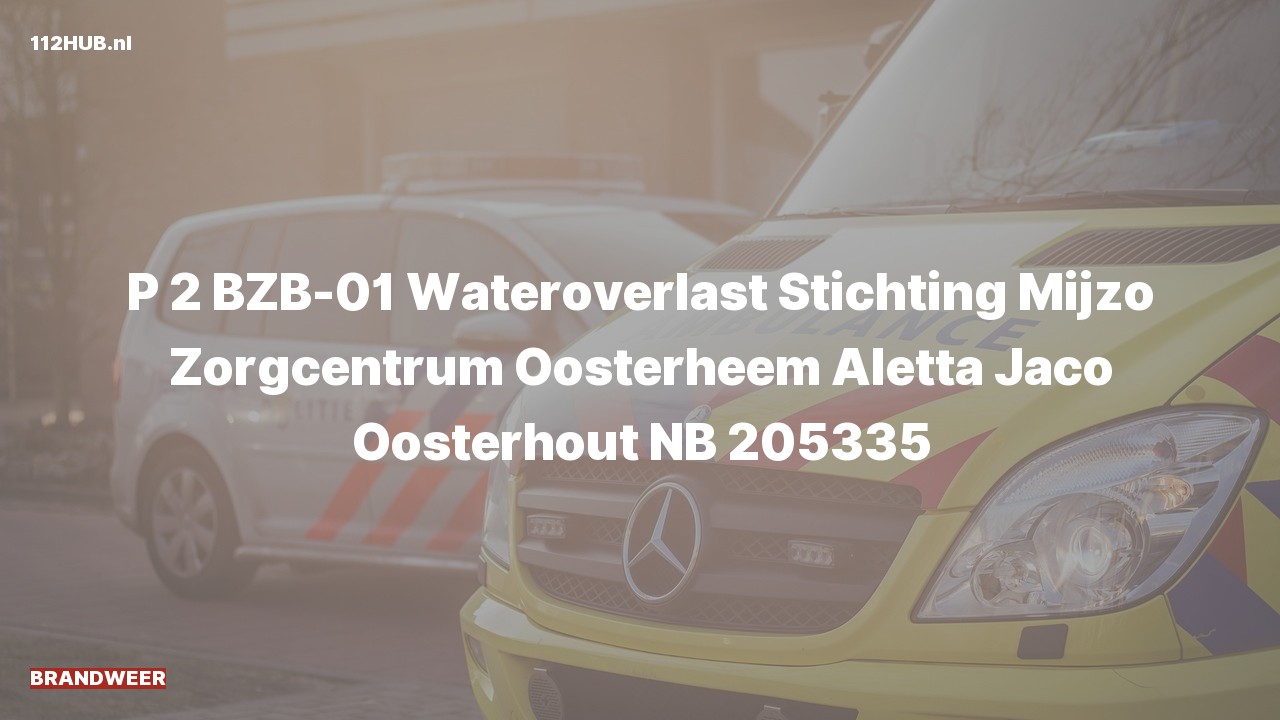 Deelafbeelding voor De brandweer is met gepaste spoed uitgerukt