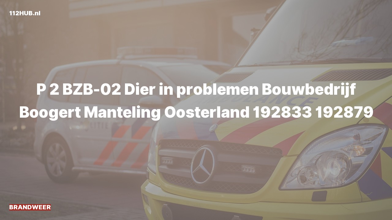 Deelafbeelding voor Brandweer met gepaste spoed naar de Manteling in Oosterland.