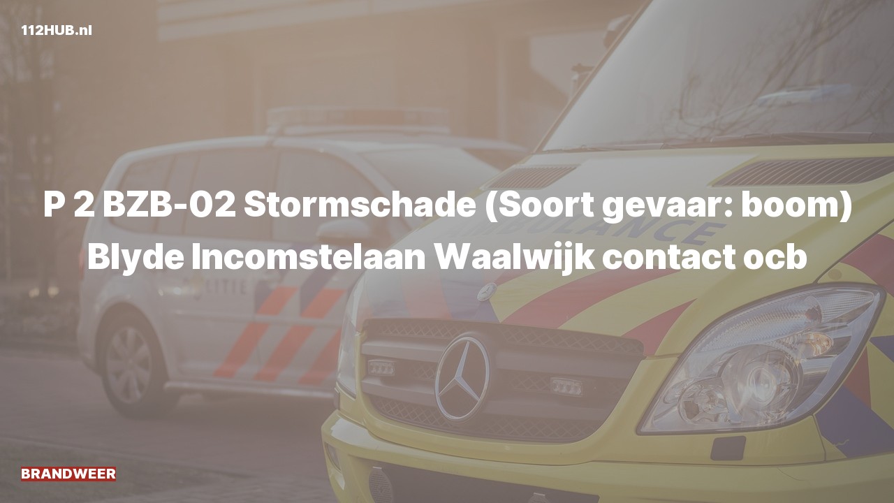 Deelafbeelding voor Brandweer met gepaste spoed naar de Blyde Incomstelaan in Waalwijk.