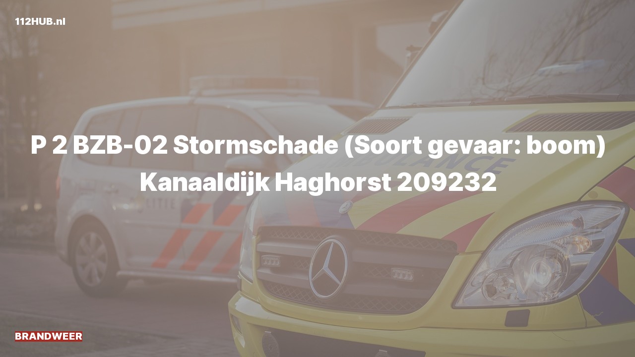 Deelafbeelding voor De brandweer is met gepaste spoed uitgerukt naar de Kanaaldijk in Haghorst