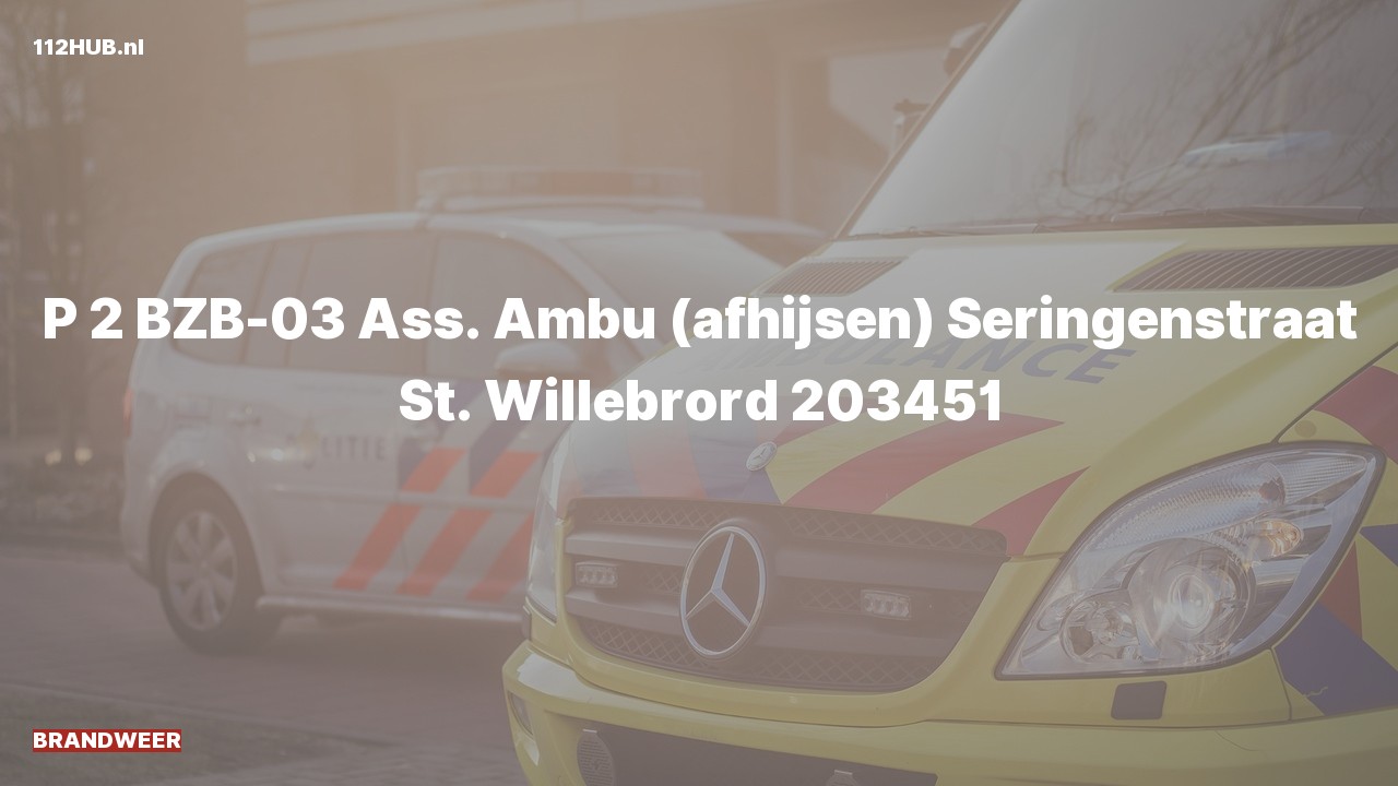 Deelafbeelding voor Brandweer met gepaste spoed voor afhijsen naar de Seringenstraat in St. Willebrord.