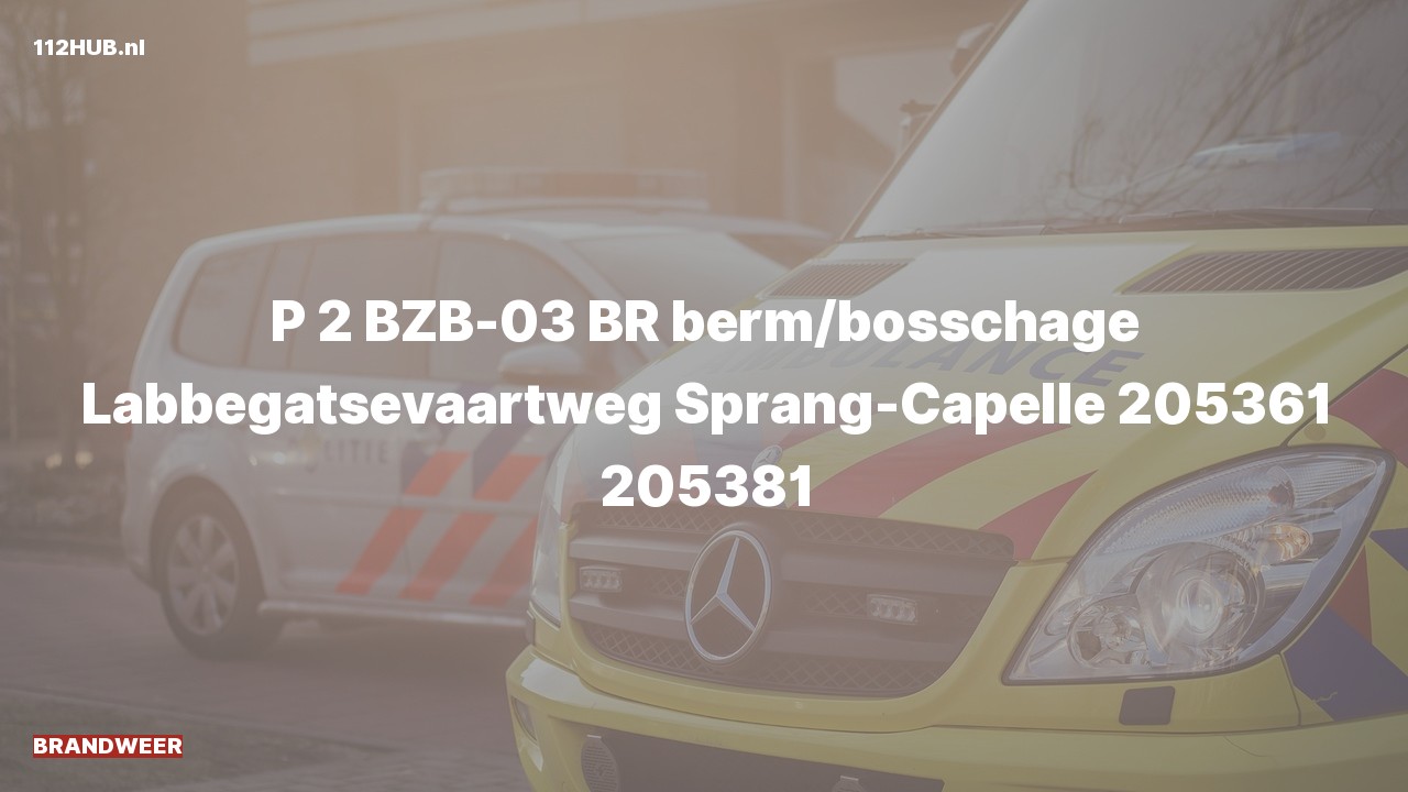 Deelafbeelding voor Brandweer met gepaste spoed.
