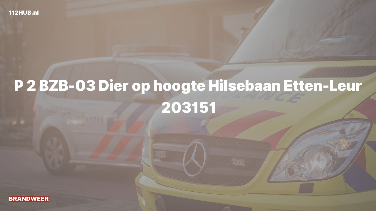 Deelafbeelding voor Brandweer met gepaste spoed naar de Hilsebaan in Etten-Leur.