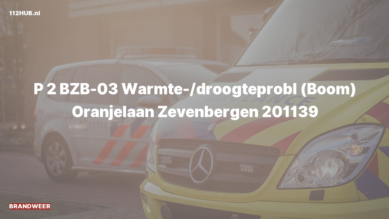 Deelafbeelding voor Brandweer met gepaste spoed naar de Oranjelaan in Zevenbergen.
