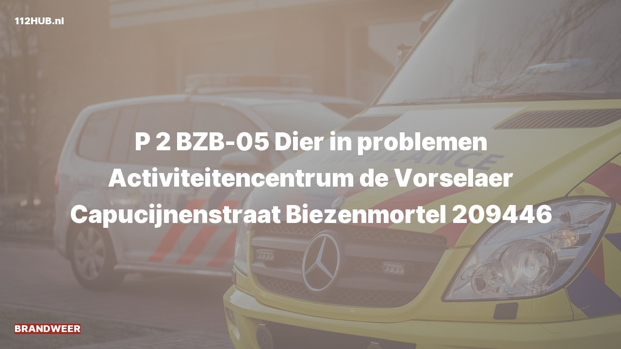 Deelafbeelding voor Brandweer met gepaste spoed naar de Capucijnenstraat in Biezenmortel.