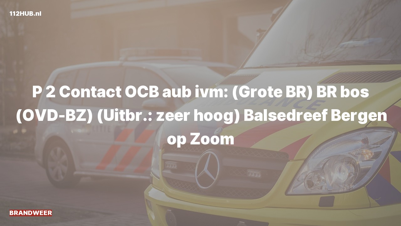Deelafbeelding voor Brandweer met gepaste spoed naar de Balsedreef in Bergen op Zoom.