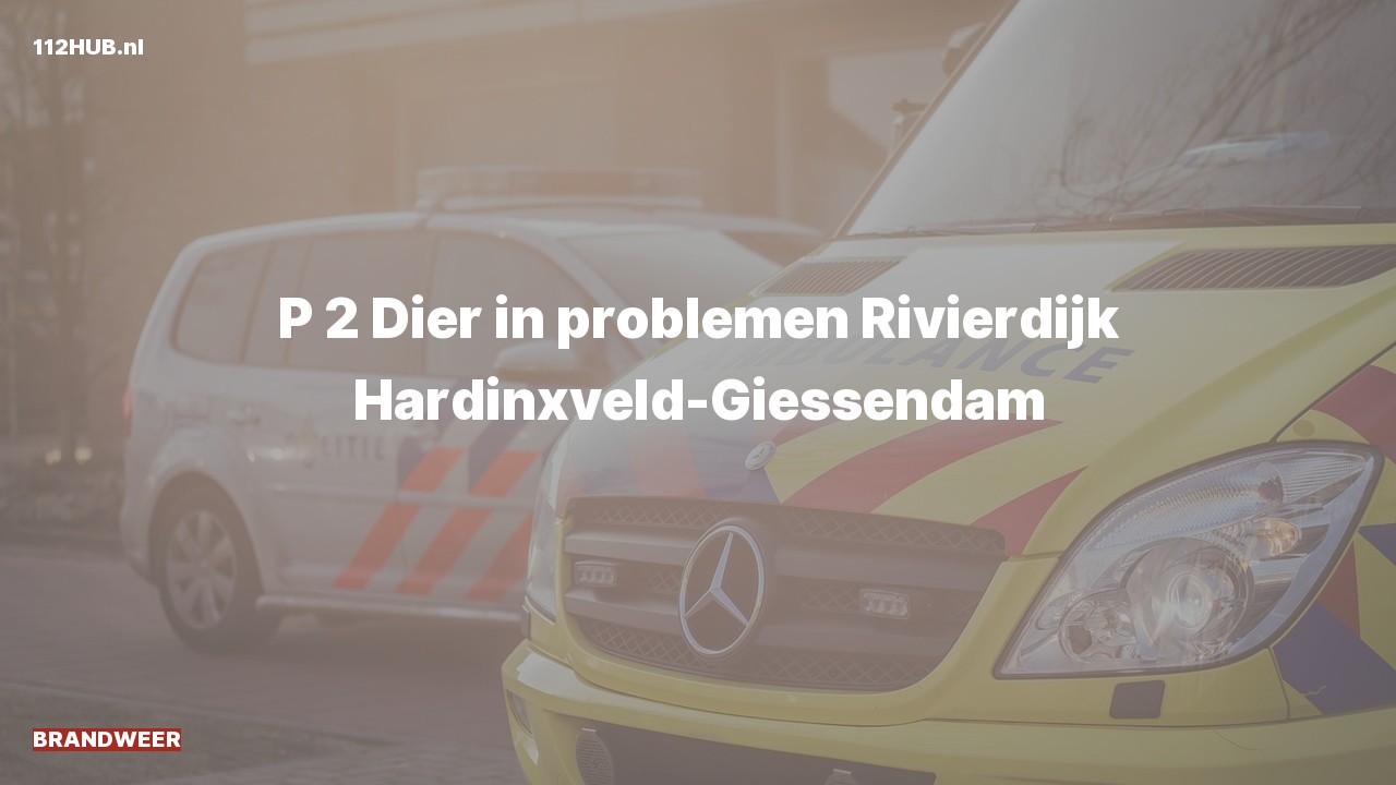 Deelafbeelding voor P2000-melding.