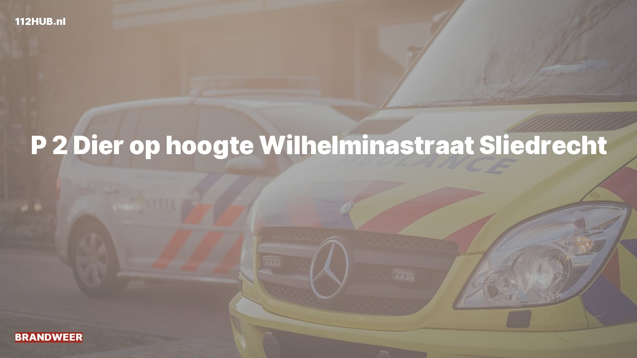 Deelafbeelding voor Brandweer met gepaste spoed naar de Wilhelminastraat in Sliedrecht.