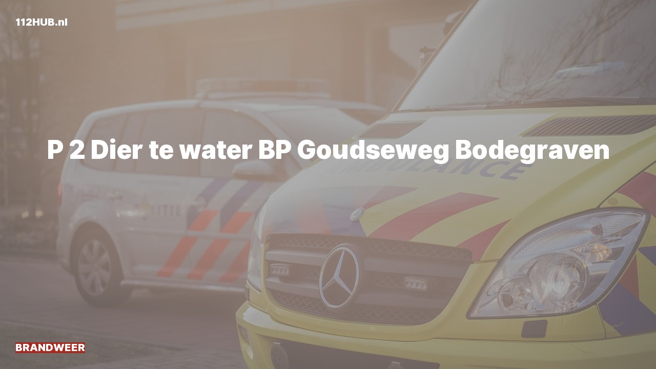Deelafbeelding voor Brandweer met gepaste spoed naar de Goudseweg in Bodegraven.