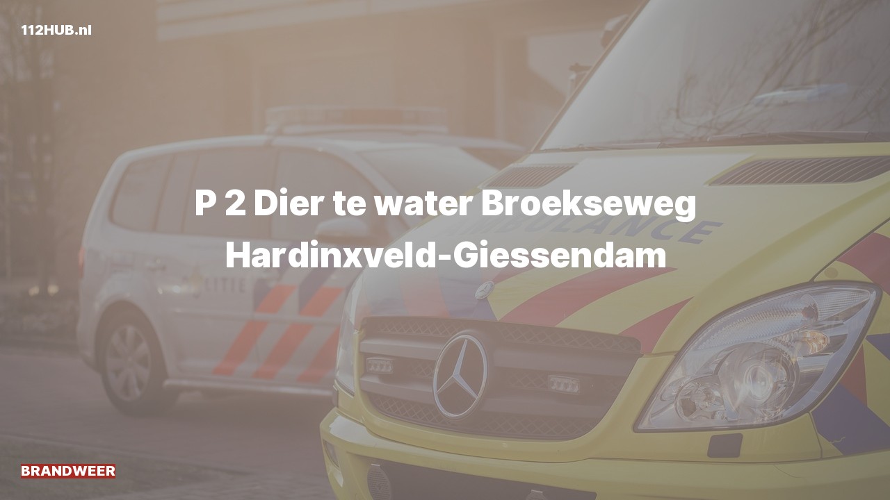 Deelafbeelding voor Brandweer met gepaste spoed naar de Broekseweg in Hardinxveld-Giessendam.
